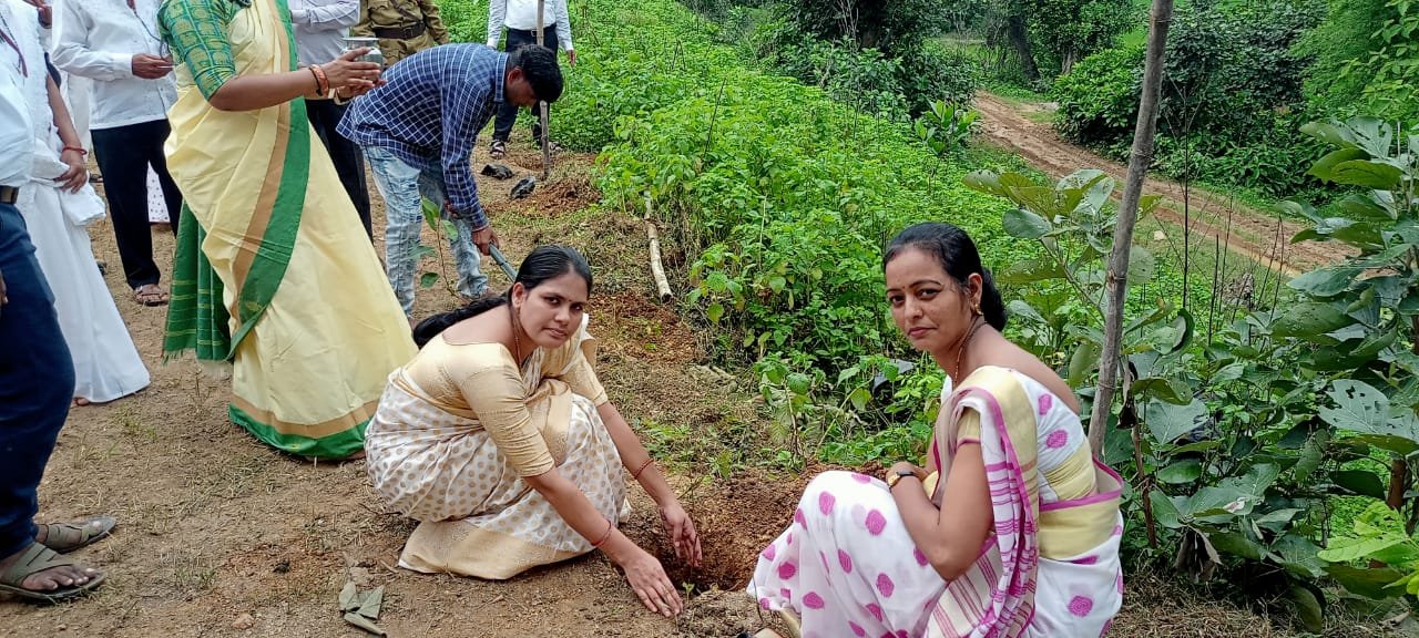 वृक्षारोपण उपक्रम